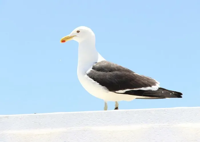 Casa Do Mar -sea House נאזרה